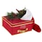 Simplify Storage Box, 11-13/16 in L, 11-13/16 in W, 11-13/16 in H, Red, Polyester 9070-RED - alternate 5